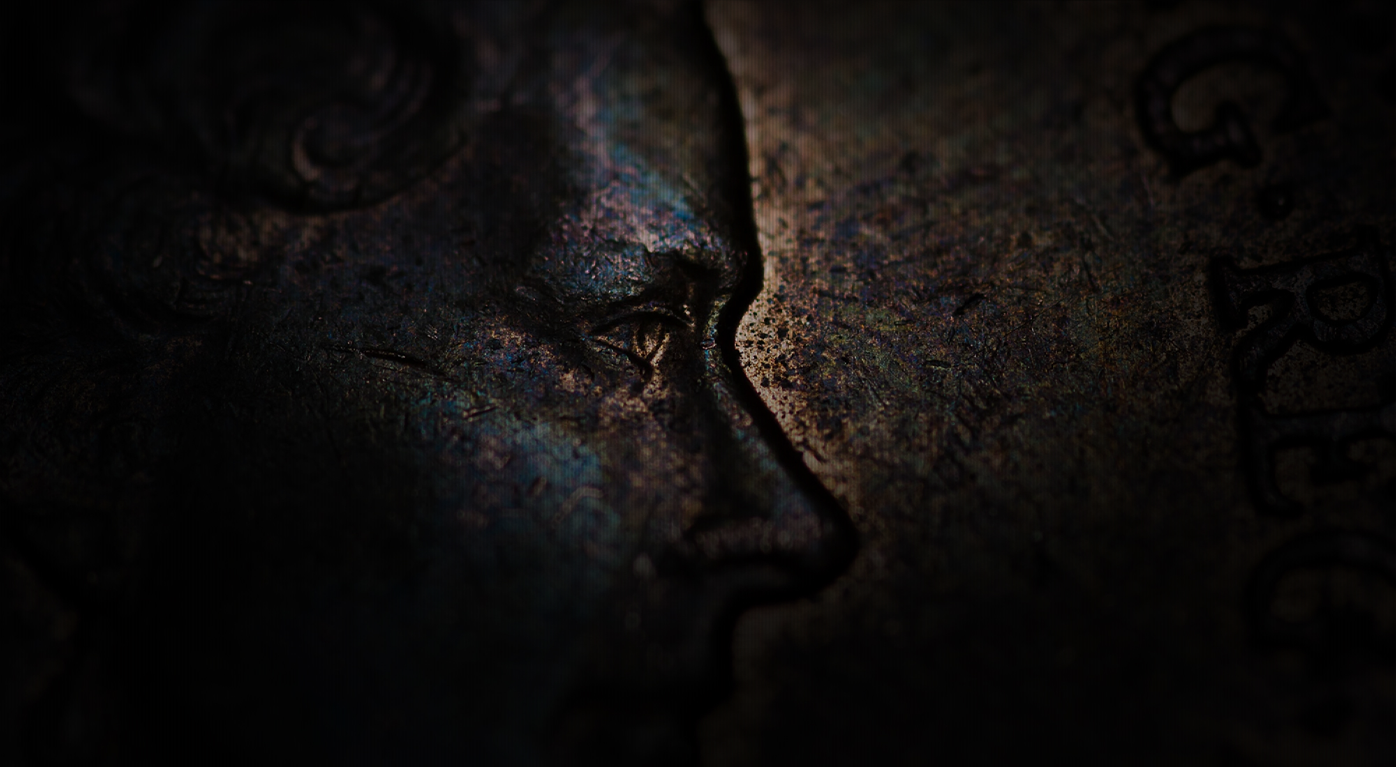 Coin Closeup